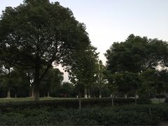 -花溪公园