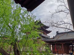 -江心屿景区