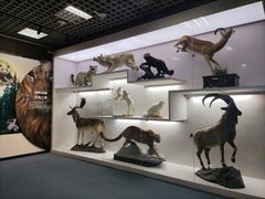 -国家自然博物馆