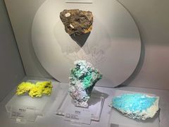 -湖南省地质博物馆