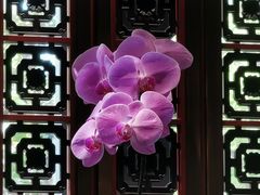-北京四季酒店·采逸轩