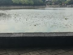 -建水文庙