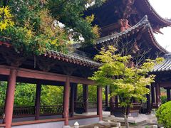 -祥源·阜阳生态乐园