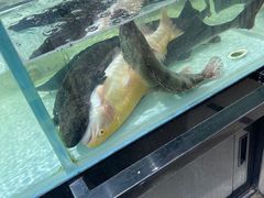 -兴龙广缘超市(奥体中心店)