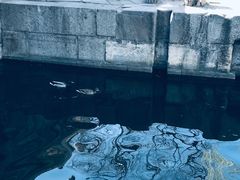 -什刹海