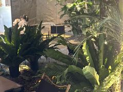 -J Create城市露营咖啡·简餐·宠物(上海动物园店)