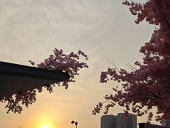 -首开·龙湖成都西宸天街