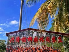 -兴隆槟榔园休闲农庄
