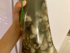 -鸿港海鲜批发市场