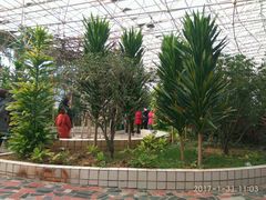 -石家庄市植物园