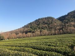 -中国茶叶博物馆(双峰馆区)