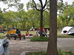 -新江湾城公园