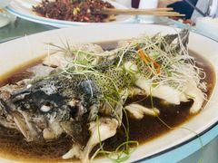 -稻香村鱼庄