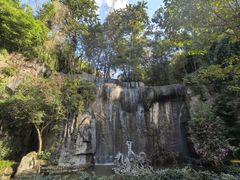 -西双版纳原始森林公园