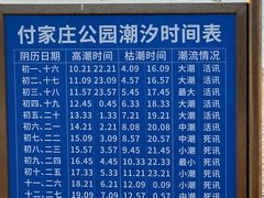 -银沙滩浴场