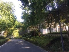-东航云逸酒店(九溪烟树店)
