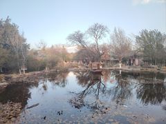 -洱海月湿地公园