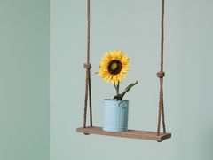 -猫的天空之城概念书店(杭州南宋御街店)