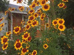 -武汉紫薇都市田园