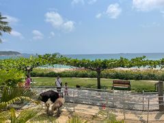 -三亚亚龙湾天域度假酒店