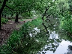 -上海共青森林公园