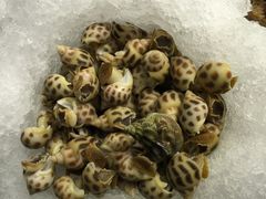 -松山湖帝豪花园酒店西餐厅(美景中路店)