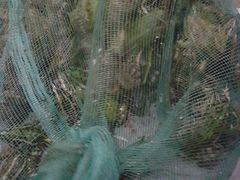 -蜀膳坊(洪公祠小区店)