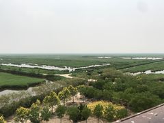 -南大港湿地风景区