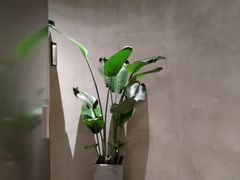 -二酉书店TOYOU BOOKS
