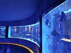 景观位-上和臻品中国菜(花园街店)