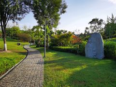 -铁山坪森林公园