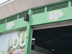 -圣淘沙天际线斜坡滑车