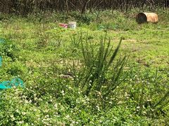 -大嶝英雄三岛战地观光园