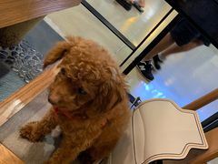 -呷哺呷哺(砂之船奥莱店)