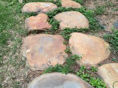 -南京市无想山景区