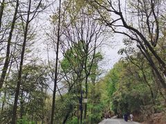 -岳麓山风景名胜区