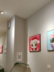 点击看大图 -洗脸猫·洗脸吧