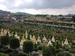 iphone_upload_pic-东芭乐园