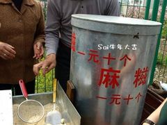 -南汇桃花村