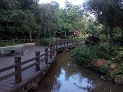 -深圳龙潭公园