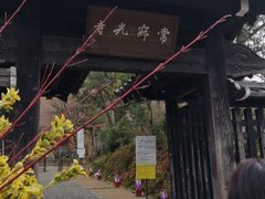 -常寂光寺