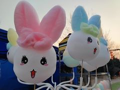 -南宫五洲植物乐园