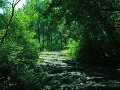 -阳台山自然风景区