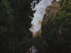 -八大关景区