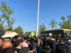 -白洋淀景区