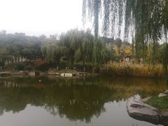 -鹦鹉寺公园
