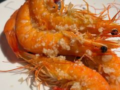 -拉蒂娜·巴西牛排馆 Latina·Brazilian Steakhouse(王府井喜悦店)