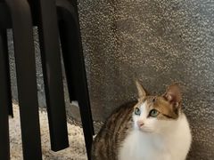 -MQ COFFEE STAND明谦(新洲店)