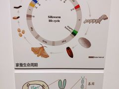 -上海当代艺术博物馆