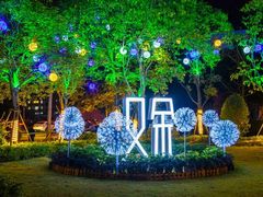 -蒲叙(凯天国际店)